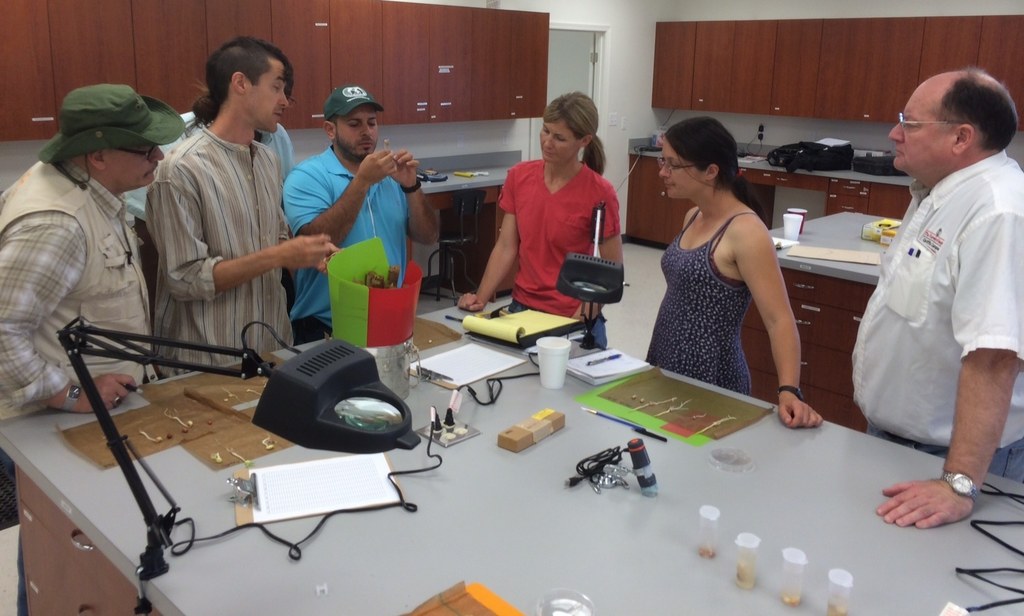 Hesham Agrama, Jimmy Burridge, Abiezer Gonzalez, Jennifer Trapp, Jana Kholova and Gerard Wall discuss roll up phenotyping.