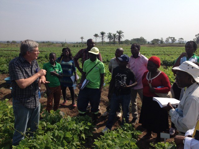 CIAT scientist and world renowned bean researcher Steve Beebe explains gene pool differences to IIAM scientists and technicians at a workshop organized by the CRIB project in Umbeluzi, Mozambique July 2015.