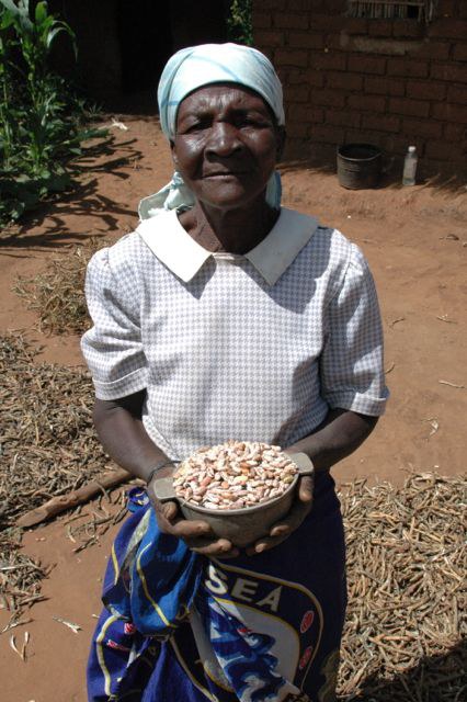 Bean farmer, Mozambique