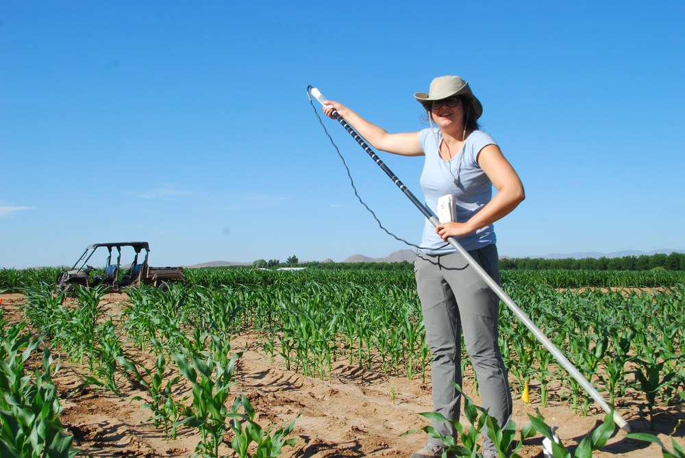 Dorien van Hees conducting field research