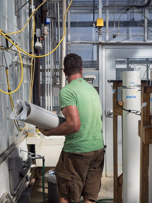 Carrying a mesocosm tube to washing station
