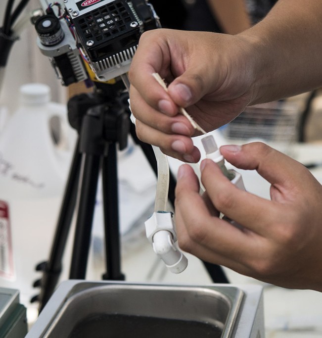Inserting root segment into root respiration chamber