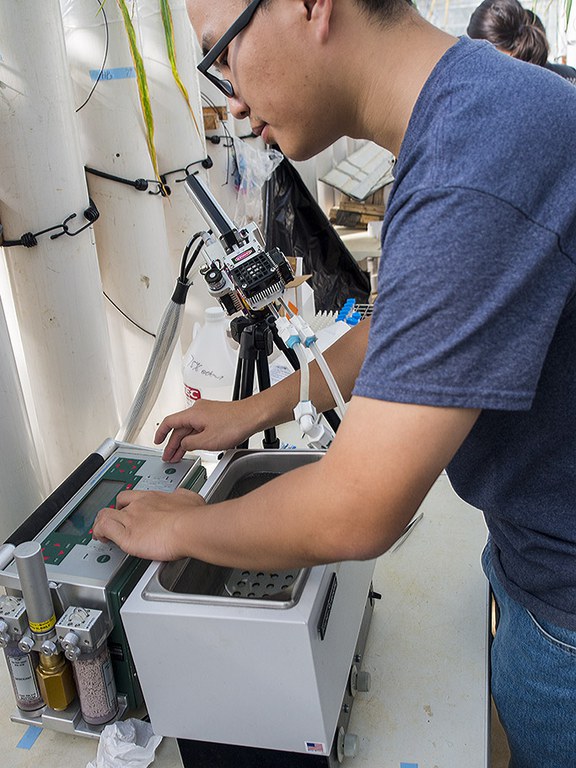 Xiyu Yang, graduate student, readies Li-Cor 6400 to obtain root respiration measurements