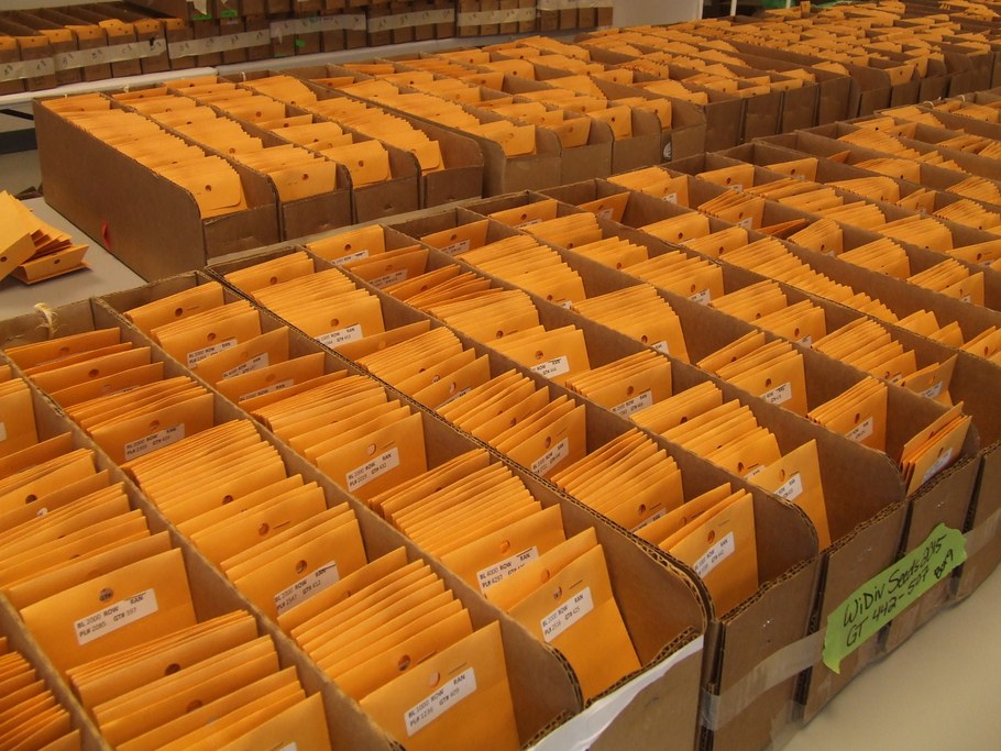 Thousands bean and maize entries must be thoroughly organized before planting