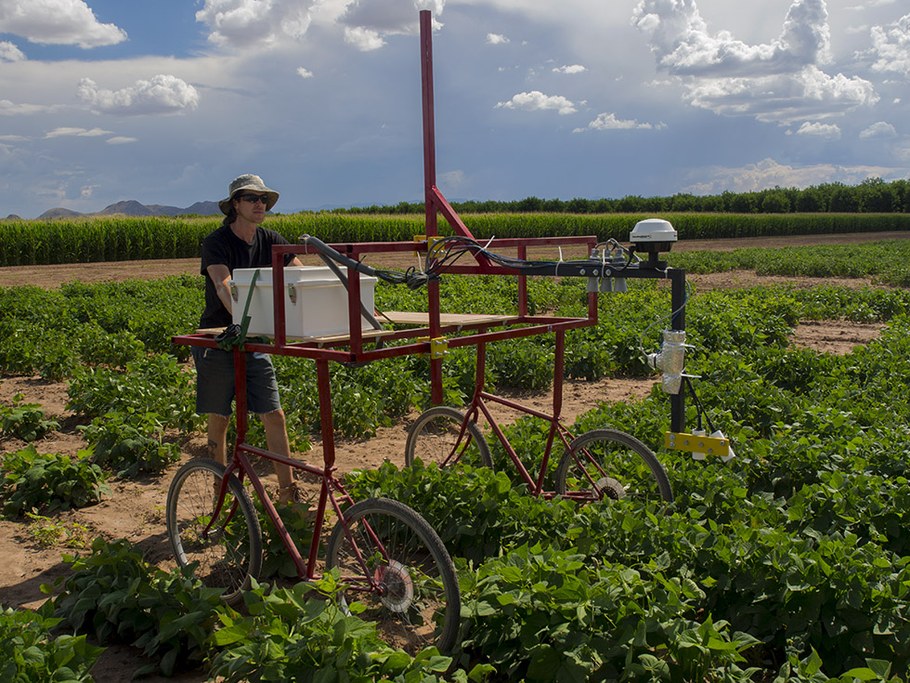 Jimmy Burridge tests the phenotyping cart in his field plots.