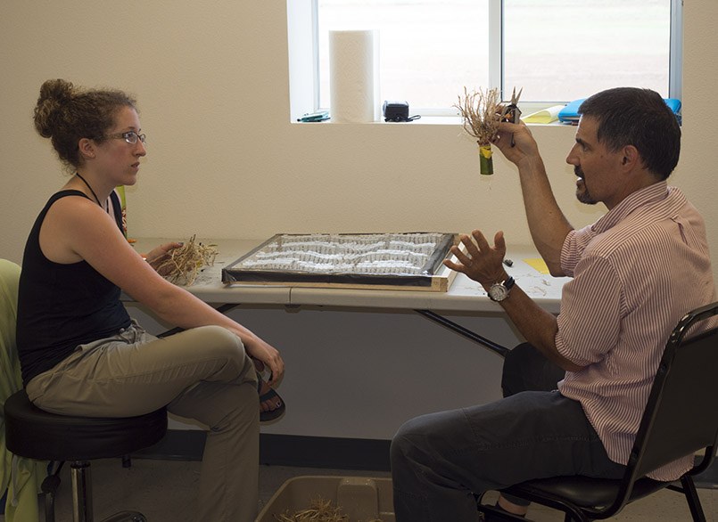 Ph.D student Stephanie Klein discussing root architecture and anatomy with Roots Lab alumnus Dr. Eric Nord.