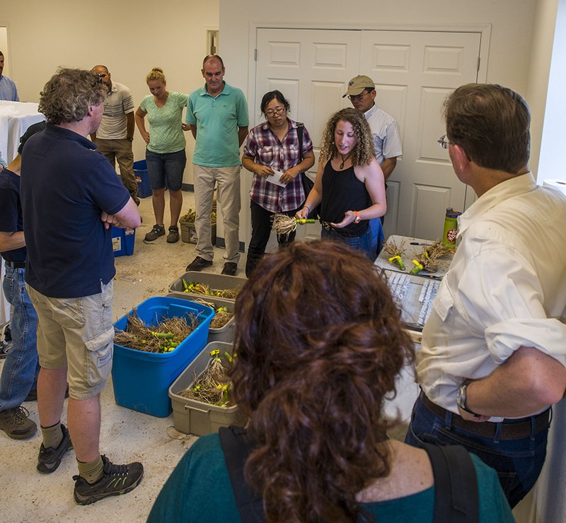 Stephanie Klein explaining maize root crown sampling