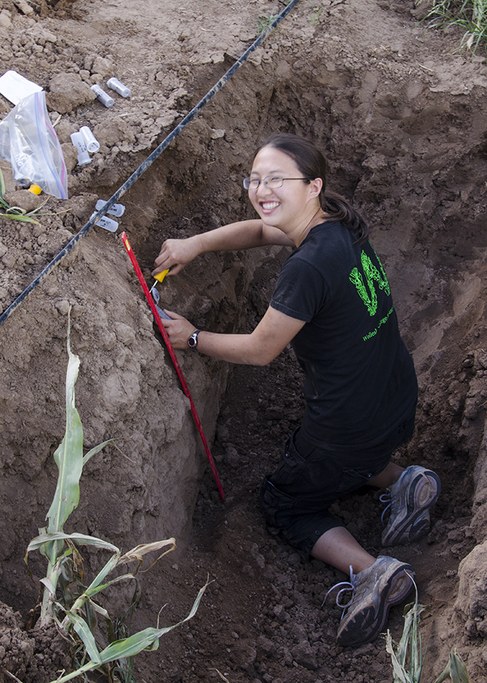 Water and nitrogen content, and other soil properties, were assessed through the field.