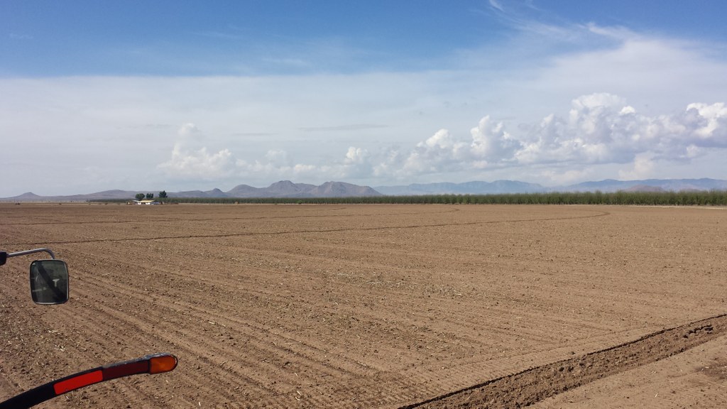 ARBC field preparation and planting began in April 2014 for Penn State U.