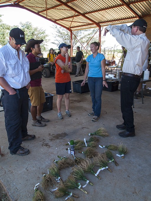 Researchers engage in discussions on root growth patterns. Photo courtesy of Bob Snyder.