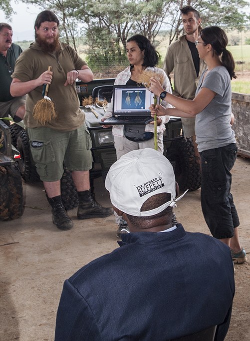 Roots lab researchers present and discuss maize root system phenotypes. Photo courtesy of Bob Snyder.