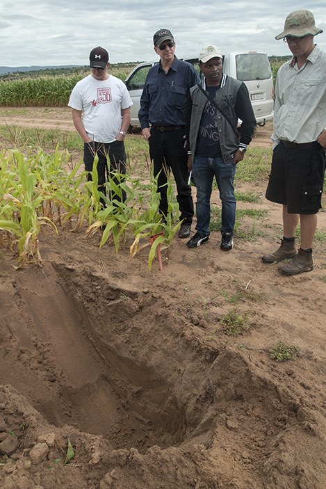Soil profiles