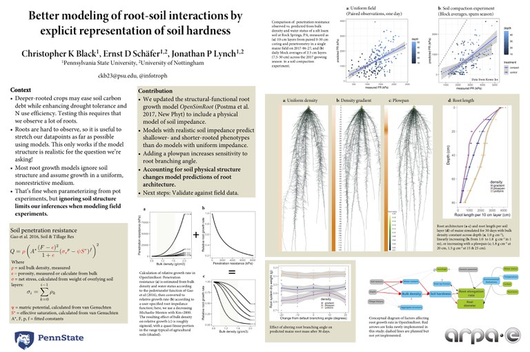 Better modeling of root-soil interactions by explicit representation of soil hardness