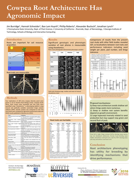 This was presented by Jimmy Burridge at the 2016 Pan-African Grain Legume and Cowpea Conference on the link between Cowpea root architecture and abiotic and biotic stress tolerance