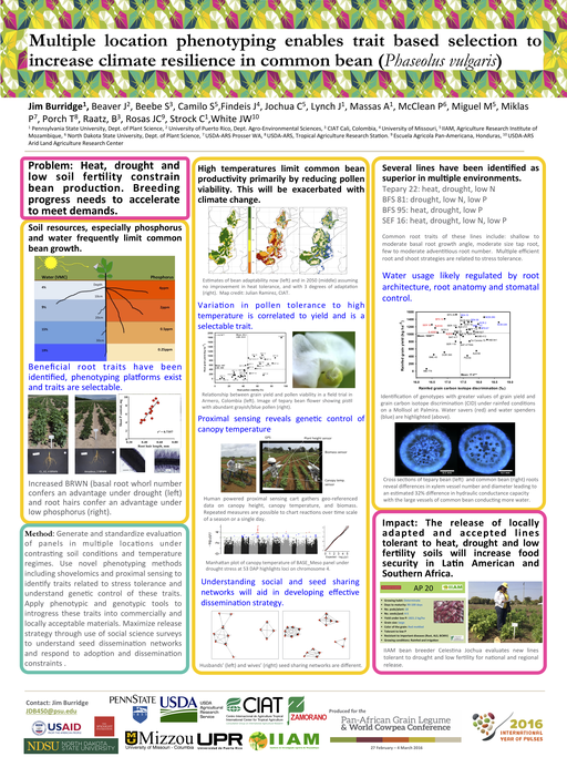 This was presented by Jimmy Burridge at the 2016 Pan-African Grain Legume and Cowpea Conference on activities of Climate Resilient Bean Project.