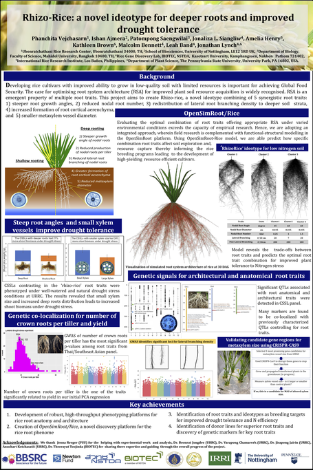 This poster was presented by Phanchita Vejchasarn at the 2019 Newton Fund Meeting. 