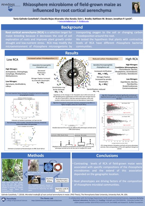 This was presented by Tania Galindo-Castañeda at the International Phytobiomes Conference 2018 in Montpellier, France.