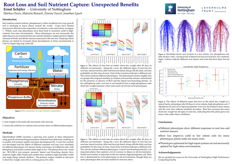 Root Loss and Soil Nutrient Capture: Unexpected Benefits