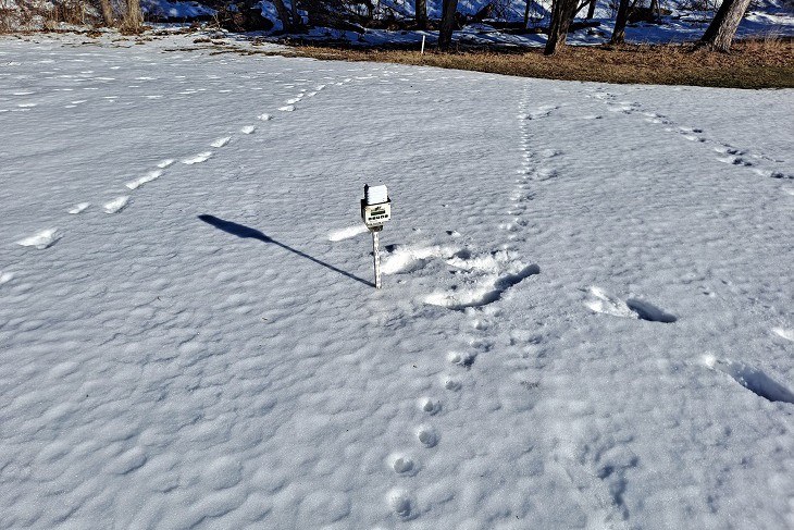 Weather station positioned beside a golf course fairway