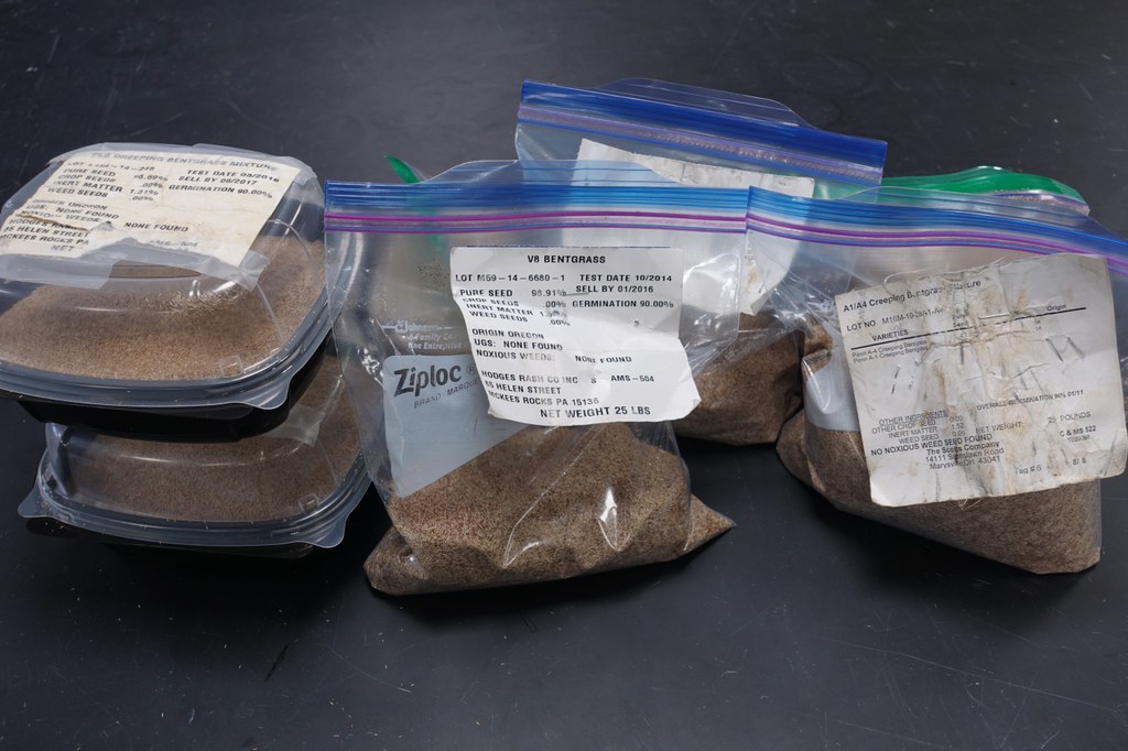 Collect small bags of seed, making sure to obtain the information tag or take a picture. 