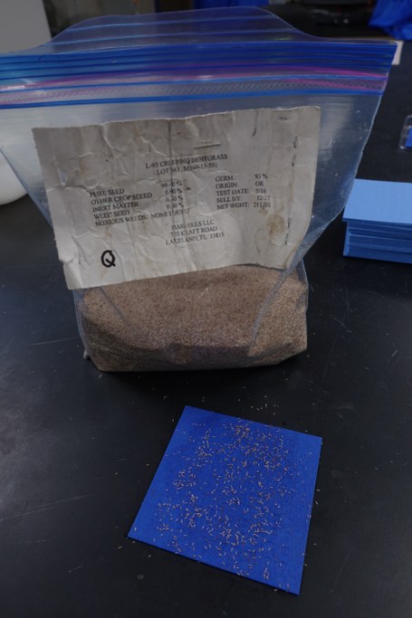 Wet a blotter paper with 5mL de-ionized water. Carefully sprinkle seed on it so the seed is slightly damp. This makes the seeds easier to place in the petri plate. 