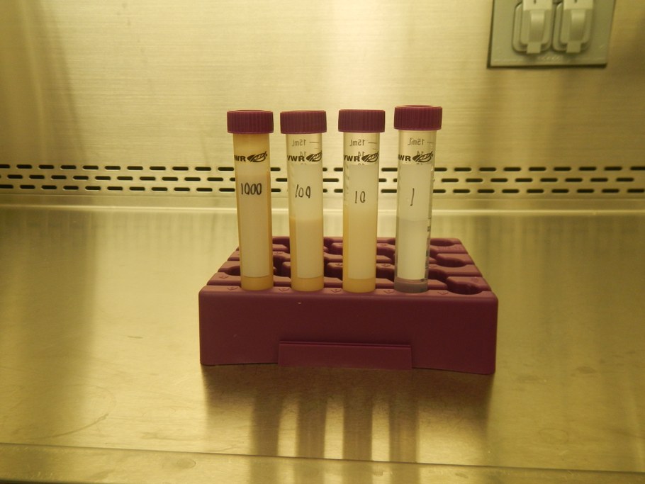 Final Concentrations: 1000, 100, 10, 1 ug a.i/mL