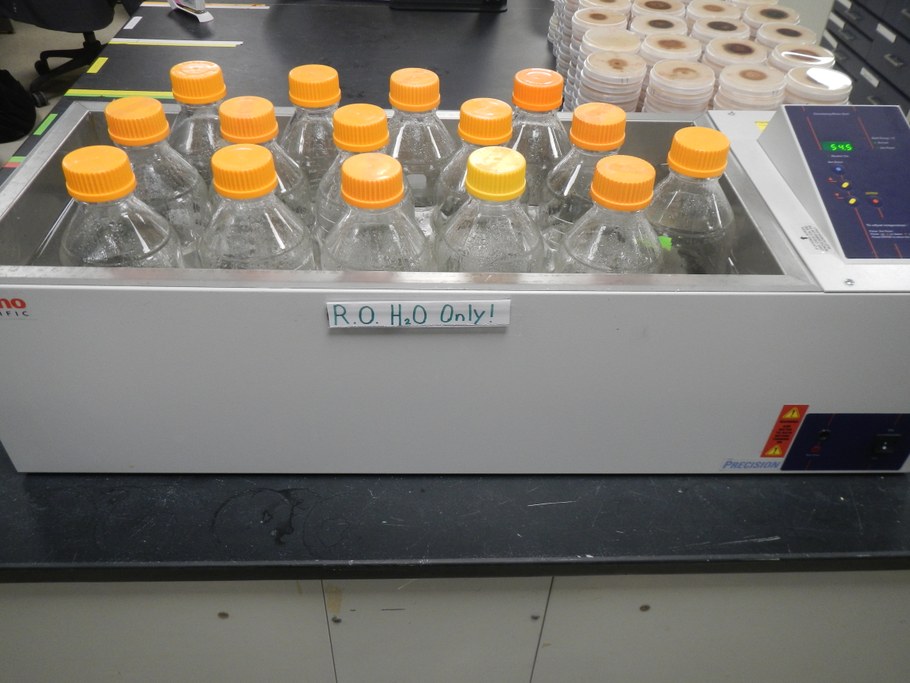 Allow molten PDA to cool to 50C in a water bath or on the lab bench
