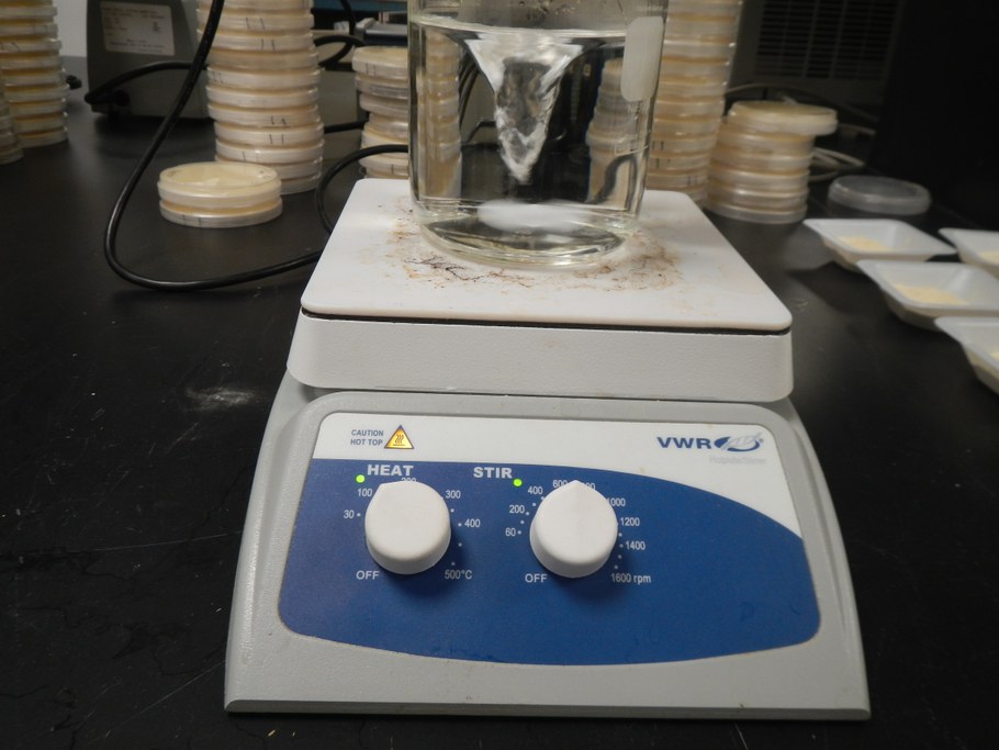 Set magnet bar to about 600 or until the bar rapidly spins, creating a vortex.