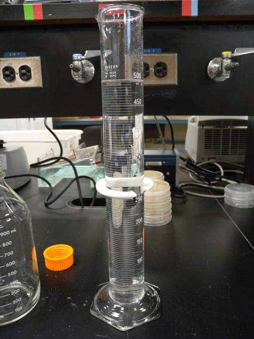 Measure 500ml de-ionized water in a graduated cylinder. 