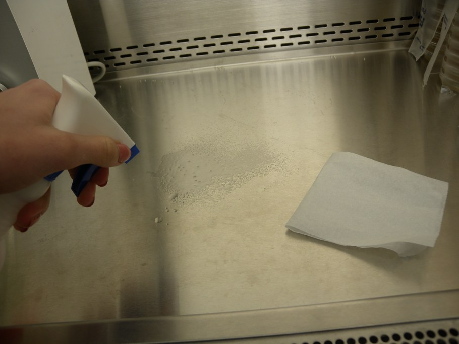 While jars are cooling, sanitize the inside of the ventilation hood using Kim wipes and 70% ethanol.