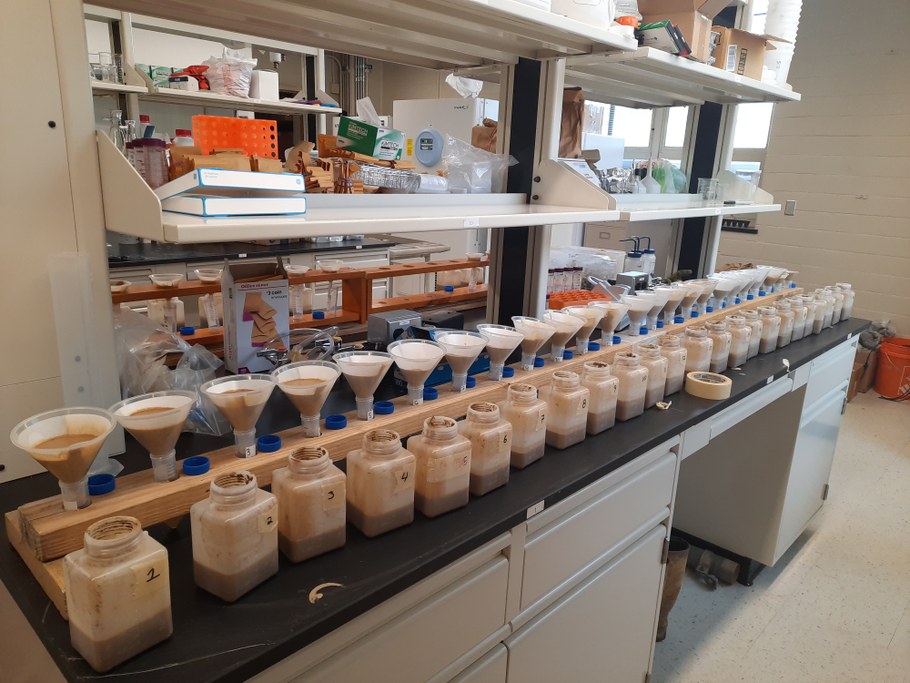 Series of soil samples being extracted with deionized water with the 1:2 v:v soil-water extract method