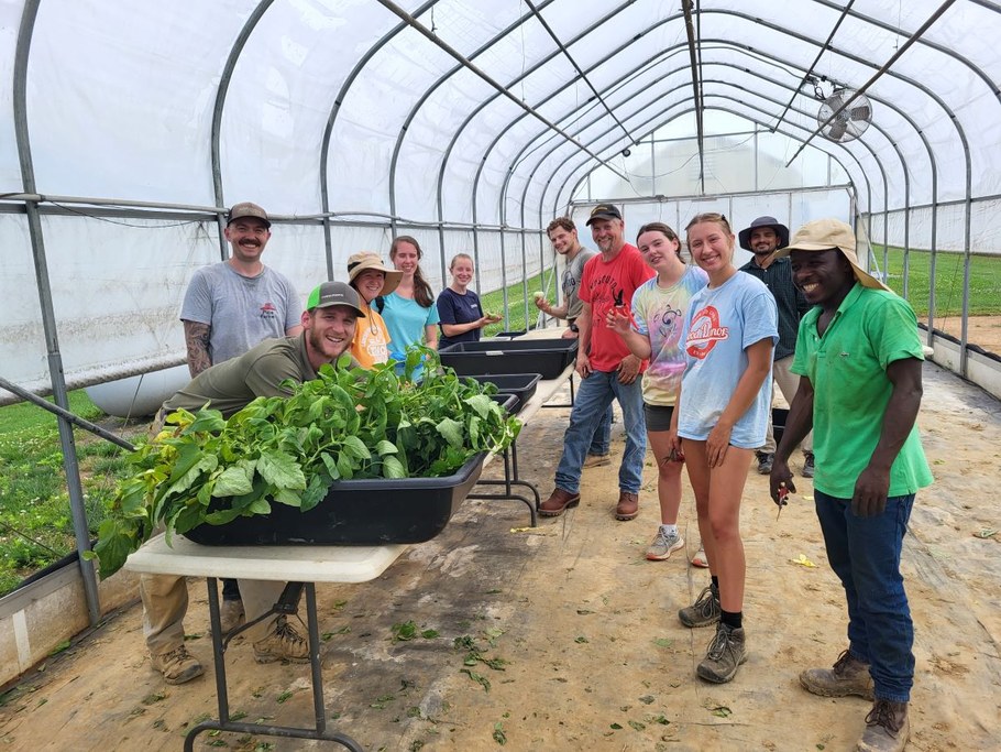Tomato plants biometric assessment for a rootstock-scion interaction study conducted in a high tunnel at the Penn State Southeast Agricultural Research and Extension Center
