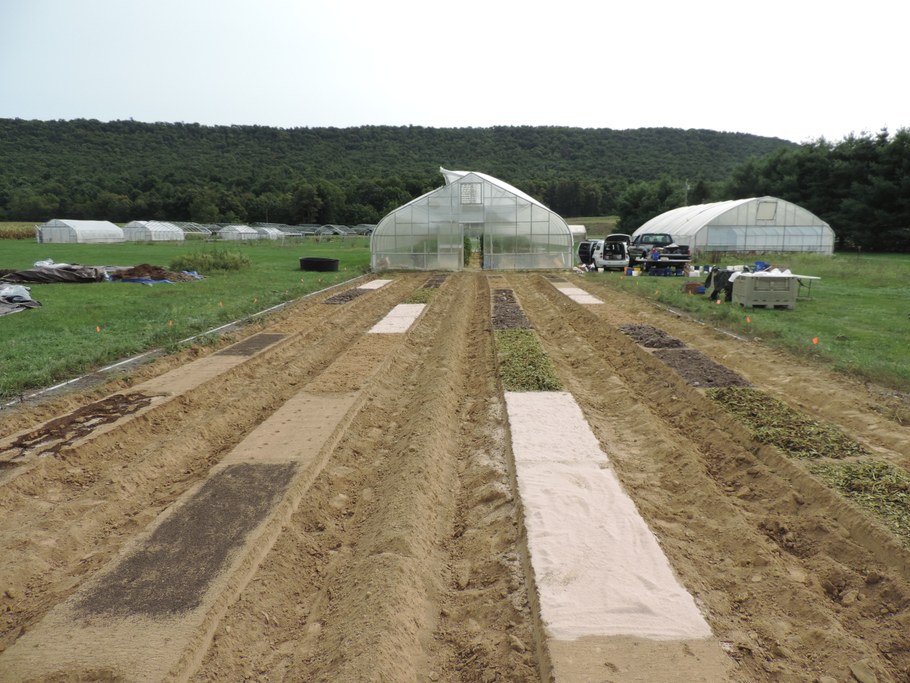 Evaluating alternative carbon sources