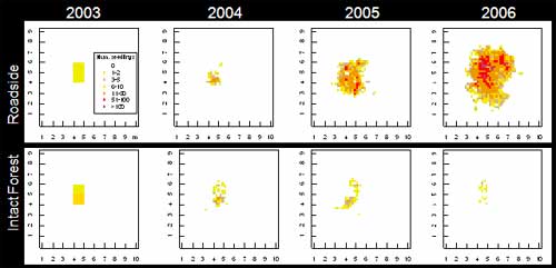 Disperal Graphs