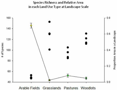 Landscape Patterns figure 2
