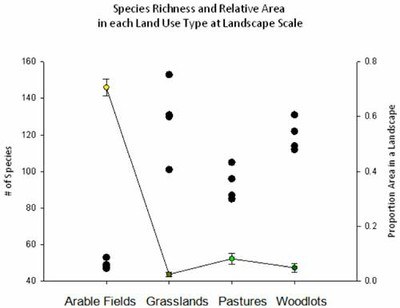 Landscape Patterns figure 2