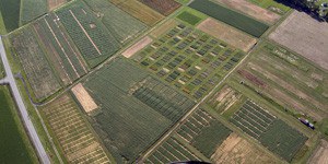 Agronomy Farm Aerial View