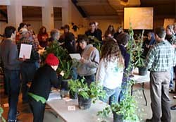 Weed Demo