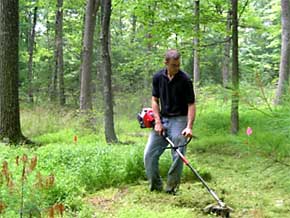 Rotary String Trimmer