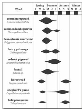 research paper topics on weed