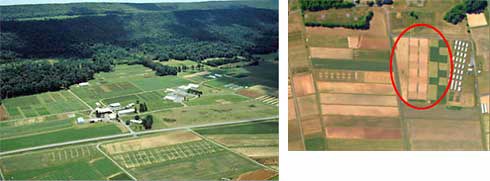 From left: Russell E. Larsen Agricultural Research Center and certified organic field plots.