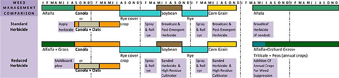 Grain Rotation Schematic