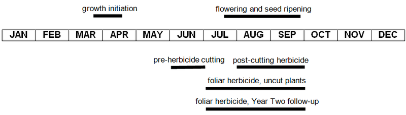 Management Calendar for Knotweed